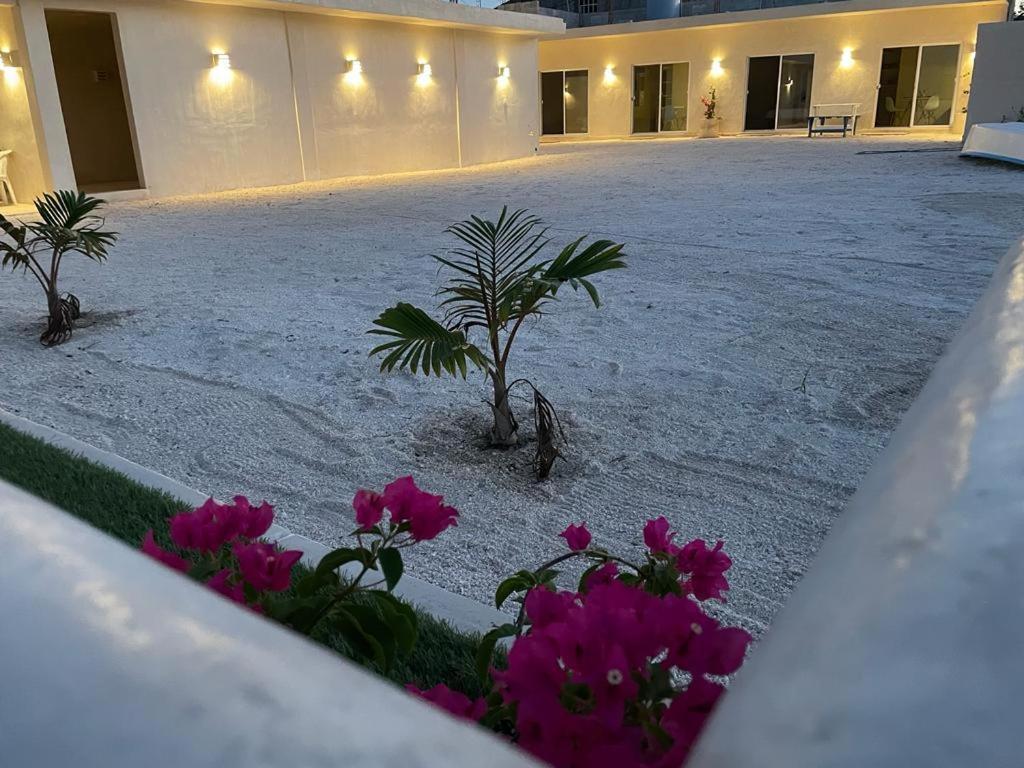 Palomar Villas Río Lagartos Dış mekan fotoğraf